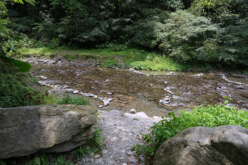 【雙連埤圳頭溪上游】宜蘭隱藏版避暑秘境！走路5分鐘到溪邊，福山植物園順遊推薦 @捲捲頭 ♡ 品味生活