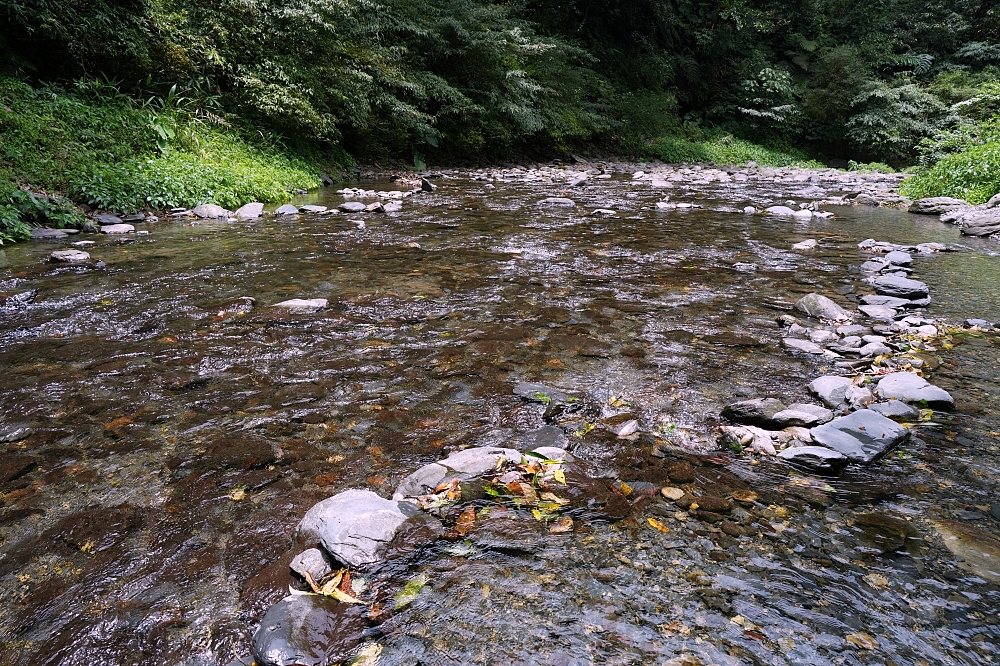 【雙連埤圳頭溪上游】宜蘭隱藏版避暑秘境！走路5分鐘到溪邊，福山植物園順遊推薦 @捲捲頭 ♡ 品味生活