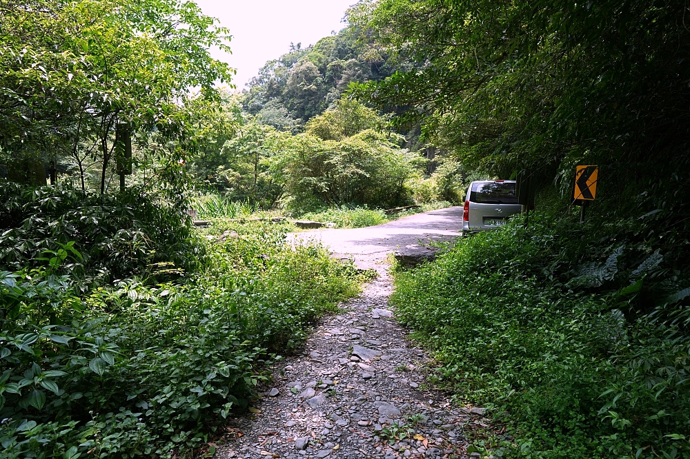 【雙連埤圳頭溪上游】宜蘭隱藏版避暑秘境！走路5分鐘到溪邊，福山植物園順遊推薦 @捲捲頭 ♡ 品味生活