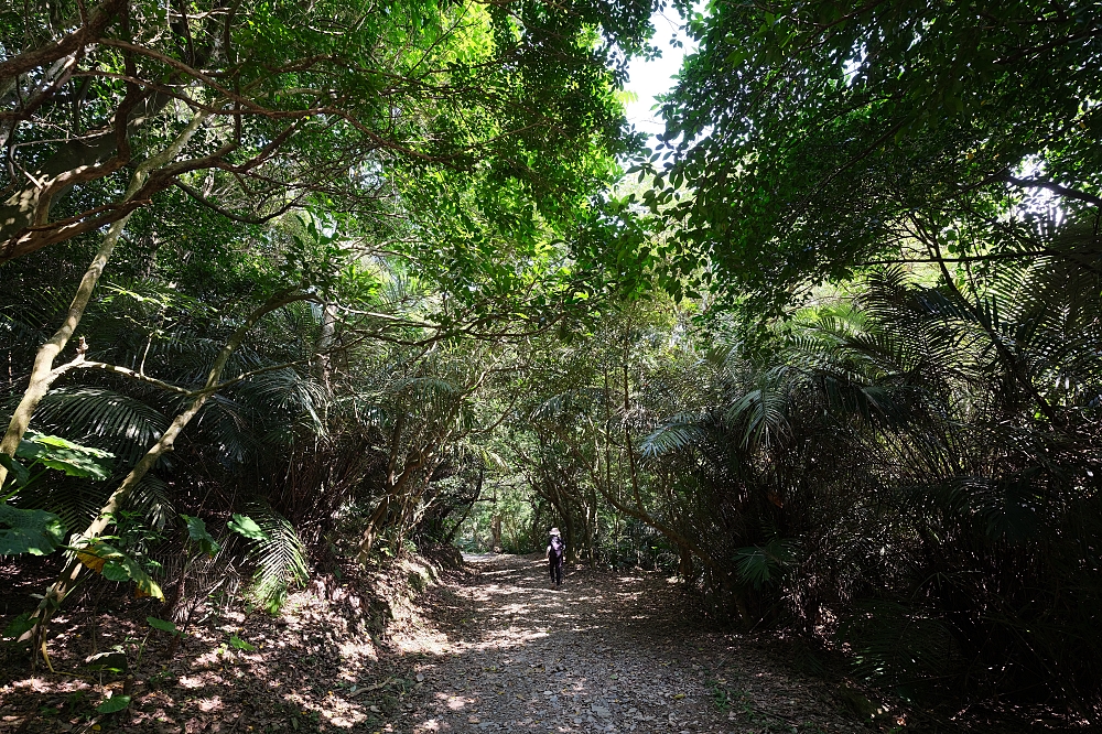 【蘇澳七星嶺步道】一到六星觀景台,俯瞰蘇澳港與無敵海岸線 @捲捲頭 ♡ 品味生活 【蘇澳七星嶺步道】一到六星觀景台,俯瞰蘇澳港與無敵海岸線 @捲捲頭 ♡ 品味生活