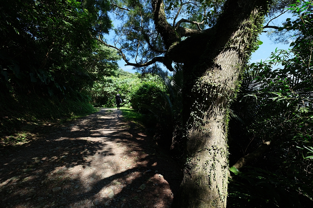 【蘇澳七星嶺步道】一到六星觀景台,俯瞰蘇澳港與無敵海岸線 @捲捲頭 ♡ 品味生活 【蘇澳七星嶺步道】一到六星觀景台,俯瞰蘇澳港與無敵海岸線 @捲捲頭 ♡ 品味生活