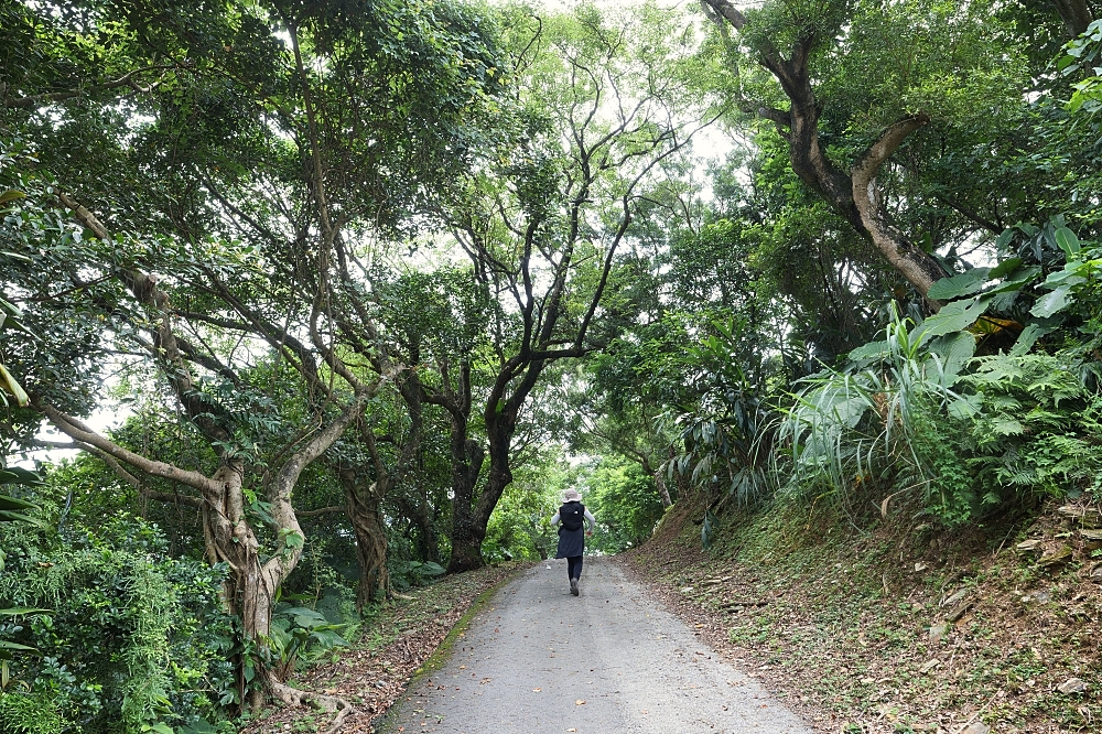 砲台山風景區｜蘇澳私房密境，藏在蘇花公路旁的清代砲台與老榕樹 @捲捲頭 ♡ 品味生活