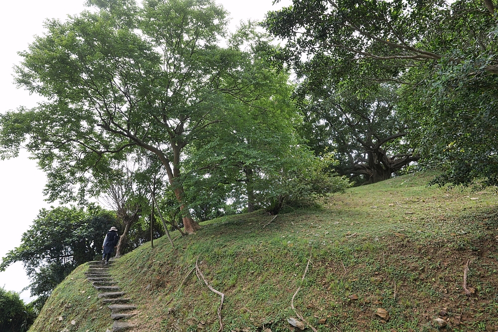 砲台山風景區｜蘇澳私房密境，藏在蘇花公路旁的清代砲台與老榕樹 @捲捲頭 ♡ 品味生活
