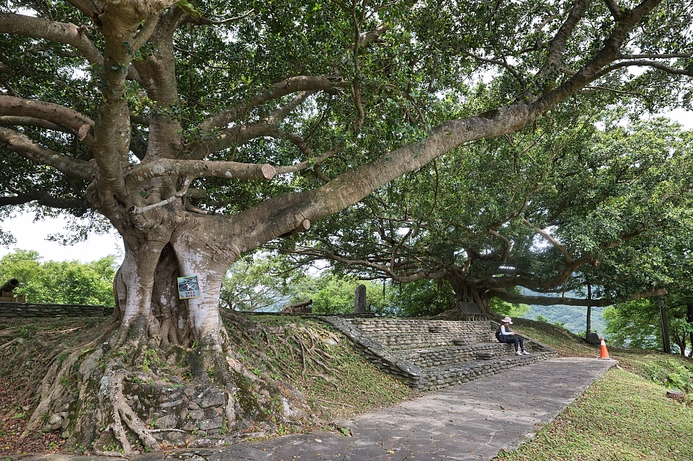 砲台山風景區｜蘇澳私房密境，藏在蘇花公路旁的清代砲台與老榕樹 @捲捲頭 ♡ 品味生活