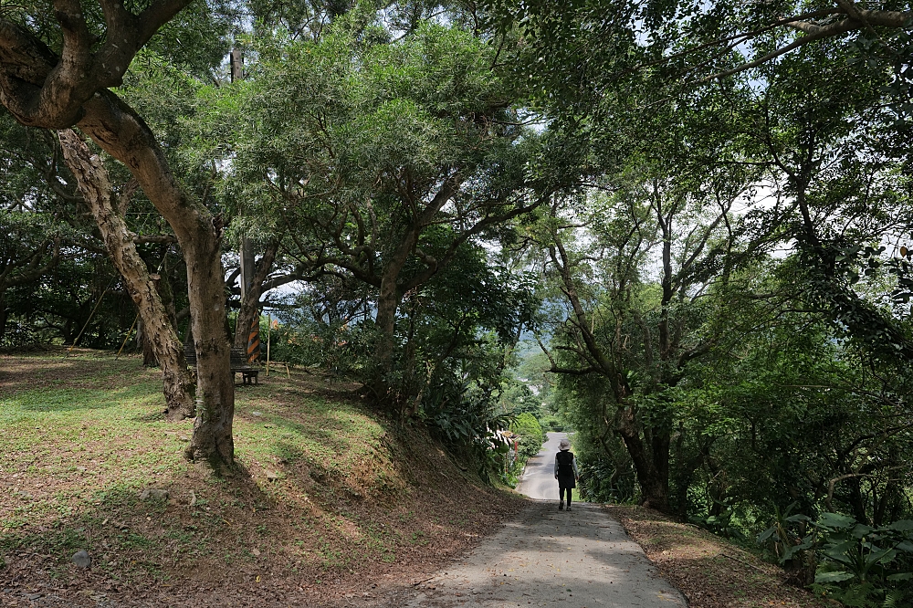 砲台山風景區｜蘇澳私房密境，藏在蘇花公路旁的清代砲台與老榕樹 @捲捲頭 ♡ 品味生活