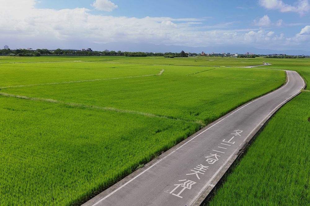 2026宜蘭三奇美徑|冬山熱氣球嘉年華 5-6月黃金稻浪來襲!最新稻田彩繪與拍照攻略 @捲捲頭 ♡ 品味生活 2026宜蘭三奇美徑|冬山熱氣球嘉年華 5-6月黃金稻浪來襲!最新稻田彩繪與拍照攻略 @捲捲頭 ♡ 品味生活