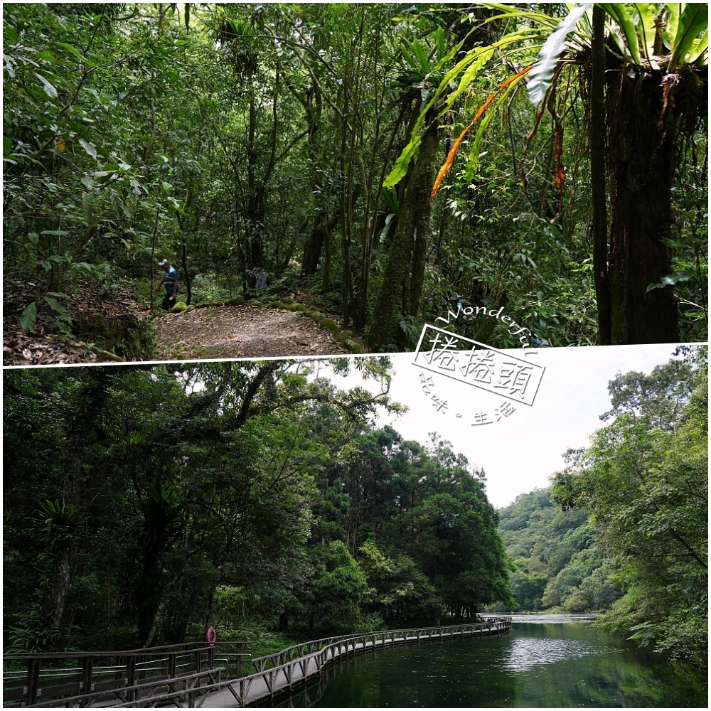 【福山植物園一日遊】森林系療癒秘境!免門票需預約,看正宗福山池與野生動物 @捲捲頭 ♡ 品味生活 【福山植物園一日遊】森林系療癒秘境!免門票需預約,看正宗福山池與野生動物 @捲捲頭 ♡ 品味生活