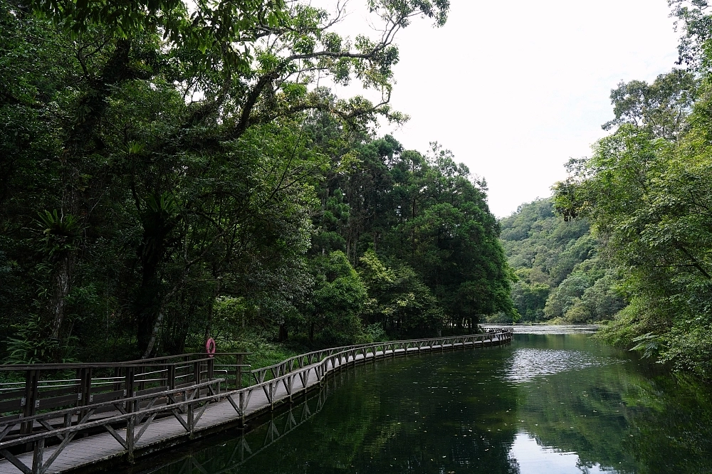 【福山植物園一日遊】森林系療癒密境！免門票需預約，看正宗福山池與野生動物 @捲捲頭 ♡ 品味生活