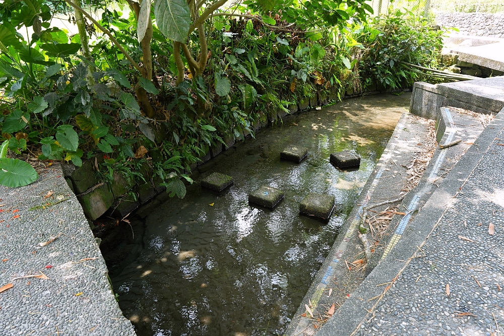 【雷公埤】宜蘭免門票天然湧泉！超沁涼戲水區、環湖步道散步全攻略 @捲捲頭 ♡ 品味生活