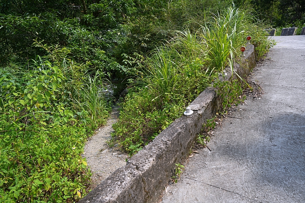 【圳頭鴛鴦溪】免爬山走路！下車就能玩水，宜蘭在地人超推的消暑好去處 @捲捲頭 ♡ 品味生活