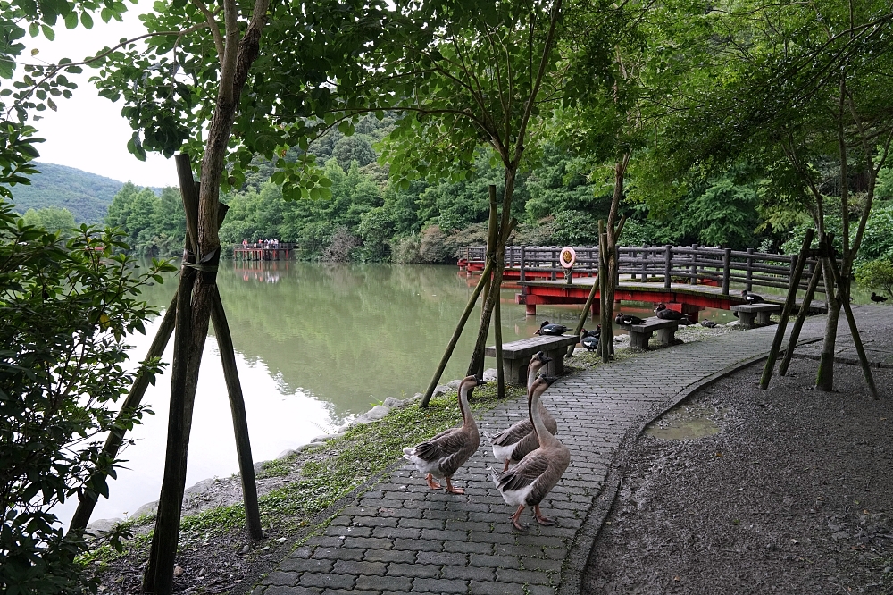 宜蘭員山景點｜望龍埤：免門票環湖步道、停車與周邊咖啡廳，一小時吃喝小旅行攻略 @捲捲頭 ♡ 品味生活