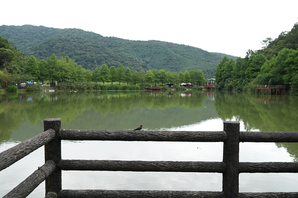宜蘭員山景點｜望龍埤：免門票環湖步道、停車與周邊咖啡廳，一小時吃喝小旅行攻略 @捲捲頭 ♡ 品味生活