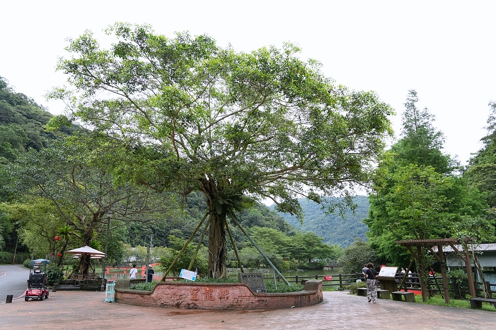 宜蘭員山景點｜望龍埤：免門票環湖步道、停車與周邊咖啡廳，一小時吃喝小旅行攻略 @捲捲頭 ♡ 品味生活