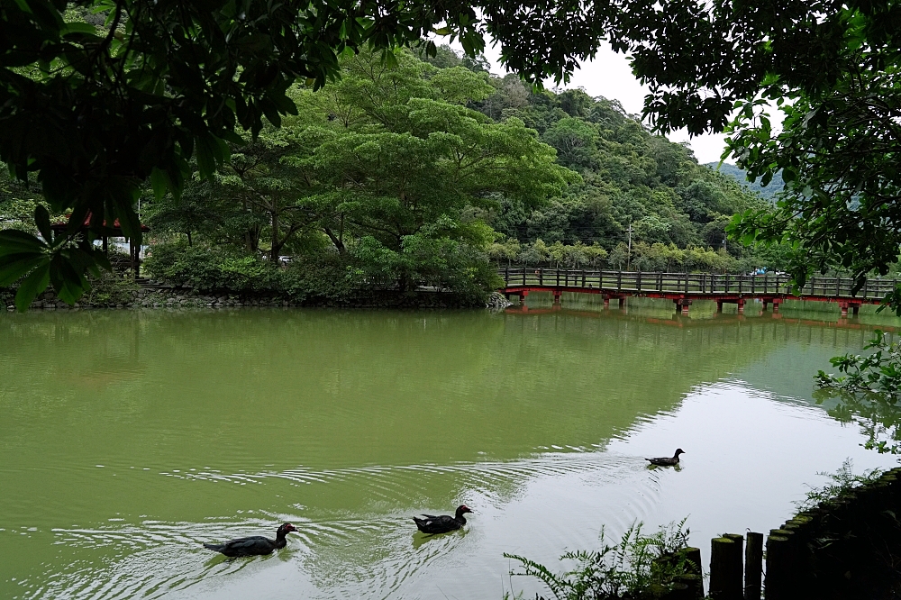 宜蘭員山景點｜望龍埤：免門票環湖步道、停車與周邊咖啡廳，一小時吃喝小旅行攻略 @捲捲頭 ♡ 品味生活