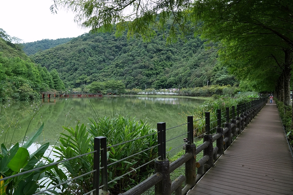 宜蘭員山景點｜望龍埤：免門票環湖步道、停車與周邊咖啡廳，一小時吃喝小旅行攻略 @捲捲頭 ♡ 品味生活