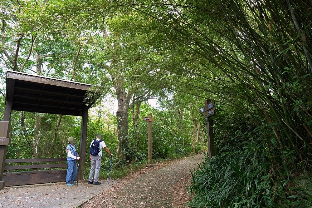 宜蘭健行推薦｜中山亭步道＋香格里拉步道：網美盪鞦韆與大汗淋漓的6公里自我挑戰 @捲捲頭 ♡ 品味生活