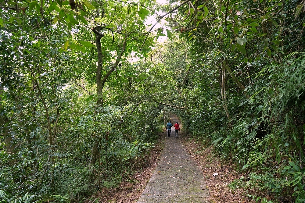 宜蘭健行推薦｜中山亭步道＋香格里拉步道：網美盪鞦韆與大汗淋漓的6公里自我挑戰 @捲捲頭 ♡ 品味生活