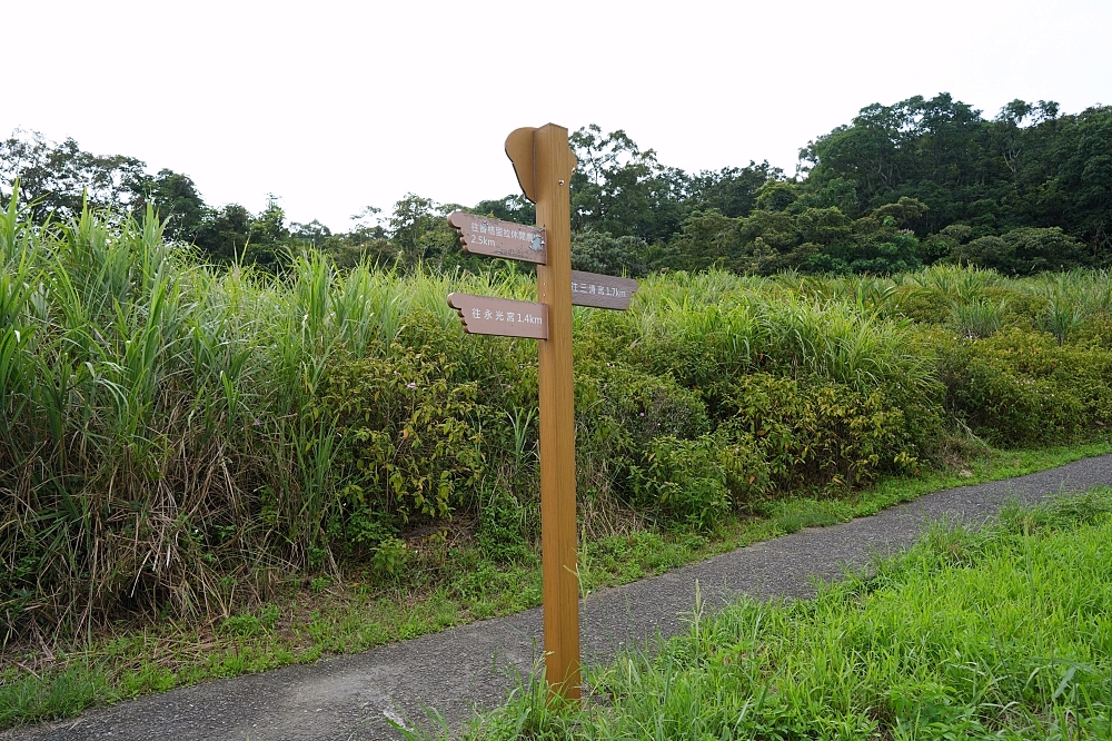 宜蘭健行推薦｜中山亭步道＋香格里拉步道：網美盪鞦韆與大汗淋漓的6公里自我挑戰 @捲捲頭 ♡ 品味生活