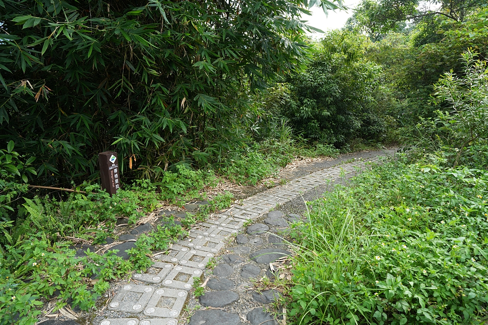 宜蘭健行推薦｜中山亭步道＋香格里拉步道：網美盪鞦韆與大汗淋漓的6公里自我挑戰 @捲捲頭 ♡ 品味生活