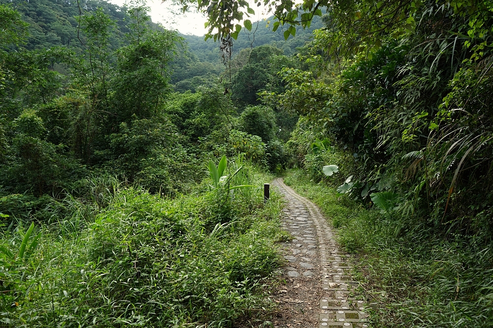 宜蘭健行推薦｜中山亭步道＋香格里拉步道：網美盪鞦韆與大汗淋漓的6公里自我挑戰 @捲捲頭 ♡ 品味生活