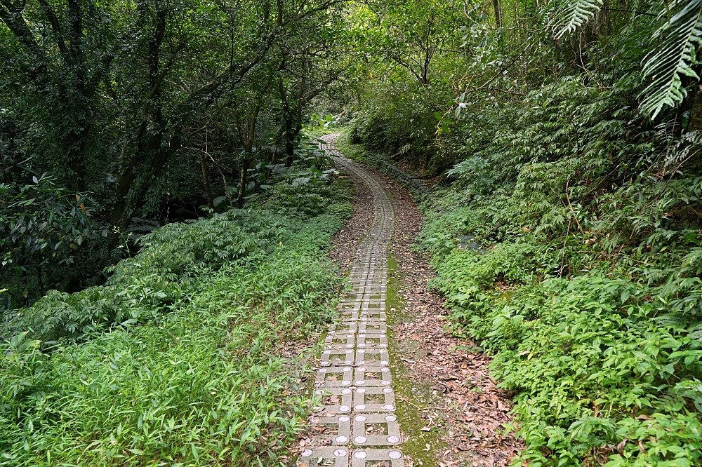 宜蘭健行推薦｜中山亭步道＋香格里拉步道：網美盪鞦韆與大汗淋漓的6公里自我挑戰 @捲捲頭 ♡ 品味生活