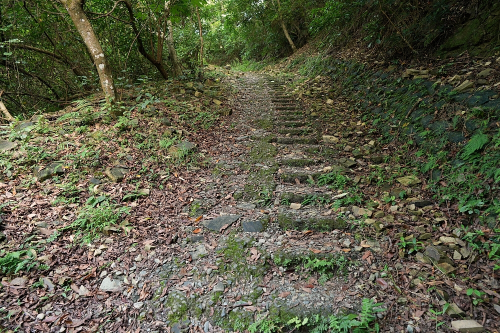 宜蘭健行推薦｜中山亭步道＋香格里拉步道：網美盪鞦韆與大汗淋漓的6公里自我挑戰 @捲捲頭 ♡ 品味生活