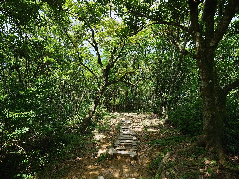石碇鱷魚島一日遊｜俯瞰超萌大鱷魚！最新交通、隱藏版拍照點全攻略 @捲捲頭 ♡ 品味生活