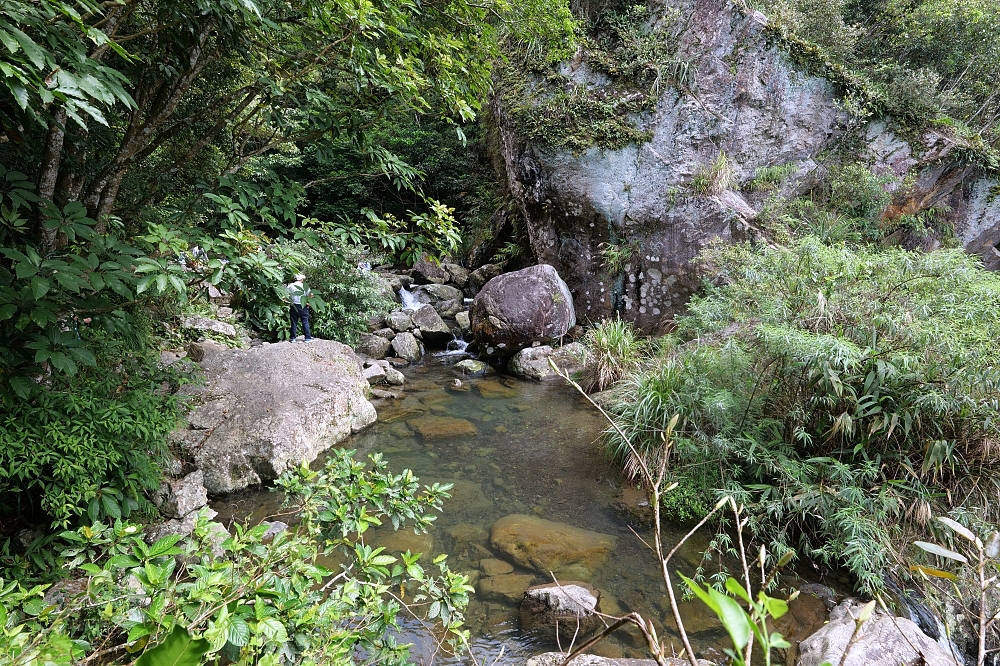 【猴洞坑瀑布】陡峭石階10分鐘登頂，絕美攀岩賞瀑避暑指南 @捲捲頭 ♡ 品味生活