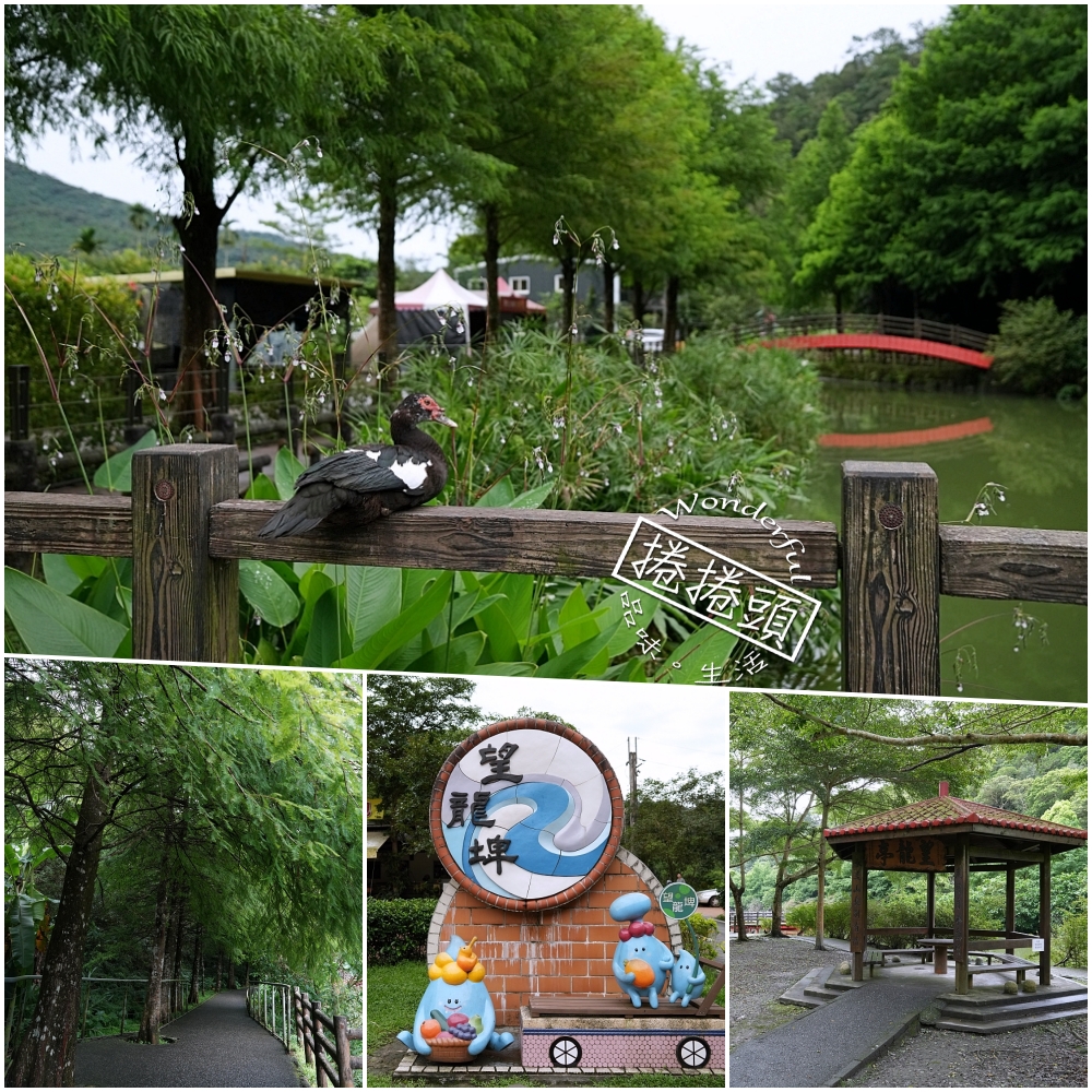 宜蘭員山景點｜望龍埤：免門票環湖步道、停車與周邊咖啡廳，一小時吃喝小旅行攻略 @捲捲頭 ♡ 品味生活