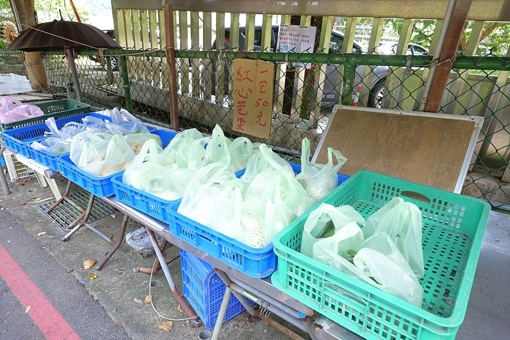 【桂山發電廠冰品部】台電古早味冰棒只要8元起！口味、交通與點餐攻略, 新店烏來景點 @捲捲頭 ♡ 品味生活