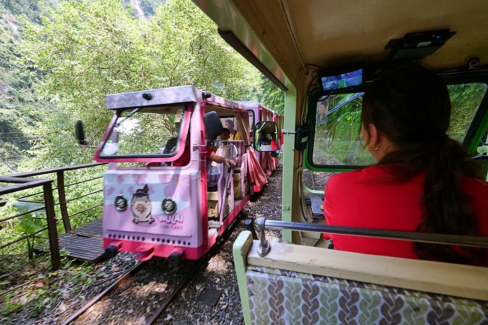 烏來一日遊》搭超可愛【烏來觀光台車】看瀑布！最新票價、環山路停車與購票攻略 @捲捲頭 ♡ 品味生活