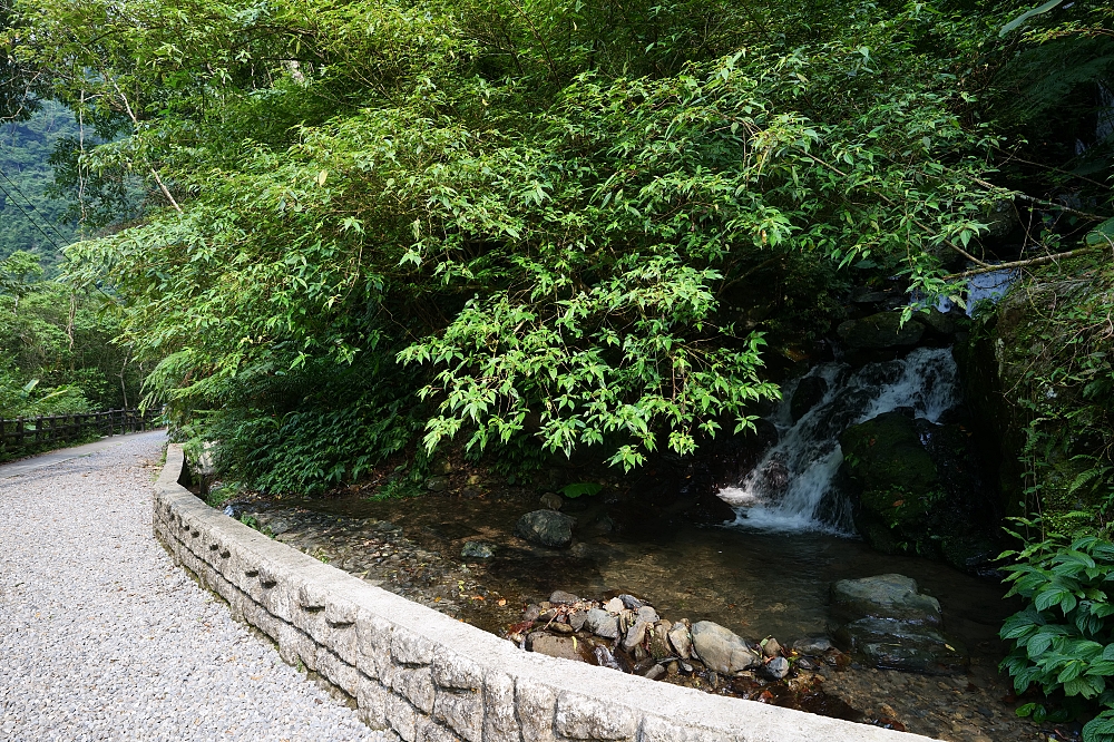 【信賢步道】下車免爬坡！10大瀑布天然冷氣，暑假清涼健行首選，新北烏來避暑秘境 @捲捲頭 ♡ 品味生活