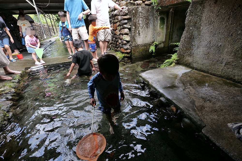 【阿蘭城湧泉池】路邊好停車、水質超乾淨，夏日免費泡腳抓魚蝦秘境 @捲捲頭 ♡ 品味生活
