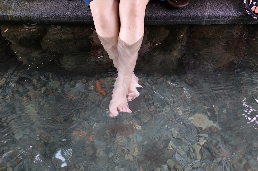 【阿蘭城湧泉池】路邊好停車、水質超乾淨,夏日免費泡腳抓魚蝦秘境 @捲捲頭 ♡ 品味生活 【阿蘭城湧泉池】路邊好停車、水質超乾淨,夏日免費泡腳抓魚蝦秘境 @捲捲頭 ♡ 品味生活