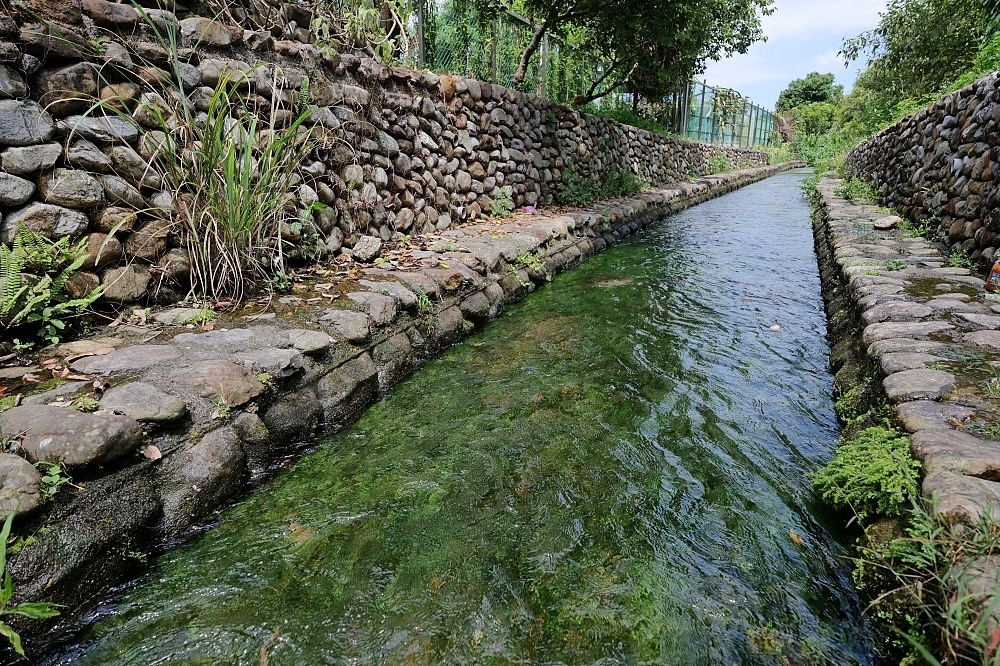 【阿蘭城湧泉池】路邊好停車、水質超乾淨,夏日免費泡腳抓魚蝦秘境 @捲捲頭 ♡ 品味生活 【阿蘭城湧泉池】路邊好停車、水質超乾淨,夏日免費泡腳抓魚蝦秘境 @捲捲頭 ♡ 品味生活