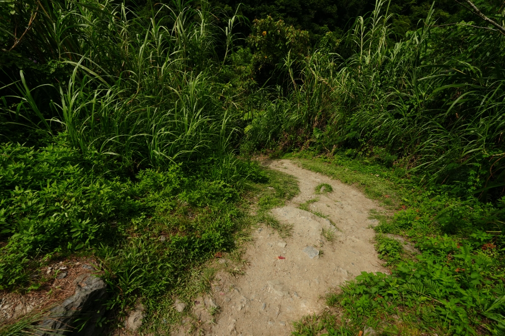 【白鮑溪親水園區】2026花蓮暑假消暑首選!免費藍寶石野溪玩水攻略 @捲捲頭 ♡ 品味生活 【白鮑溪親水園區】2026花蓮暑假消暑首選!免費藍寶石野溪玩水攻略 @捲捲頭 ♡ 品味生活