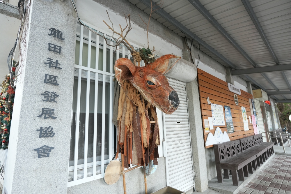 【鹿野神社】 台東日式打卡秘境！免門票大鳥居、手水舍與鹿野崑慈堂順遊攻略 @捲捲頭 ♡ 品味生活
