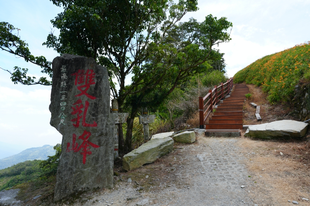 【太麻里金針山】2026台東金針花季！雙乳峰爆開金黃花海賞花攻略 @捲捲頭 ♡ 品味生活