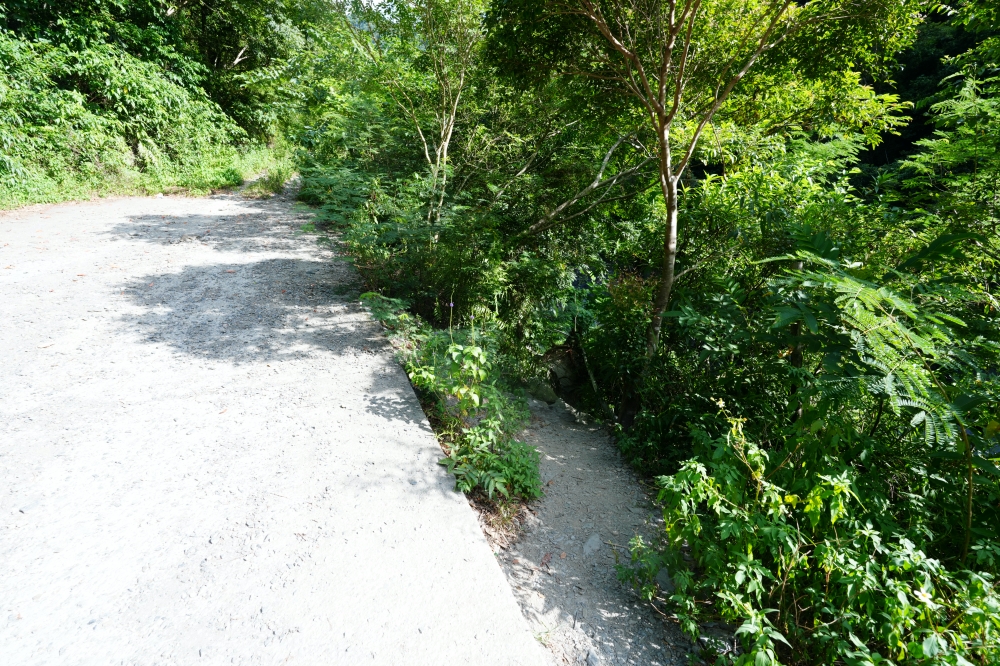 【大南溪峽谷游泳池】 台東天然消暑秘境！清澈藍寶石溪水、導航路況與停車全攻略 @捲捲頭 ♡ 品味生活