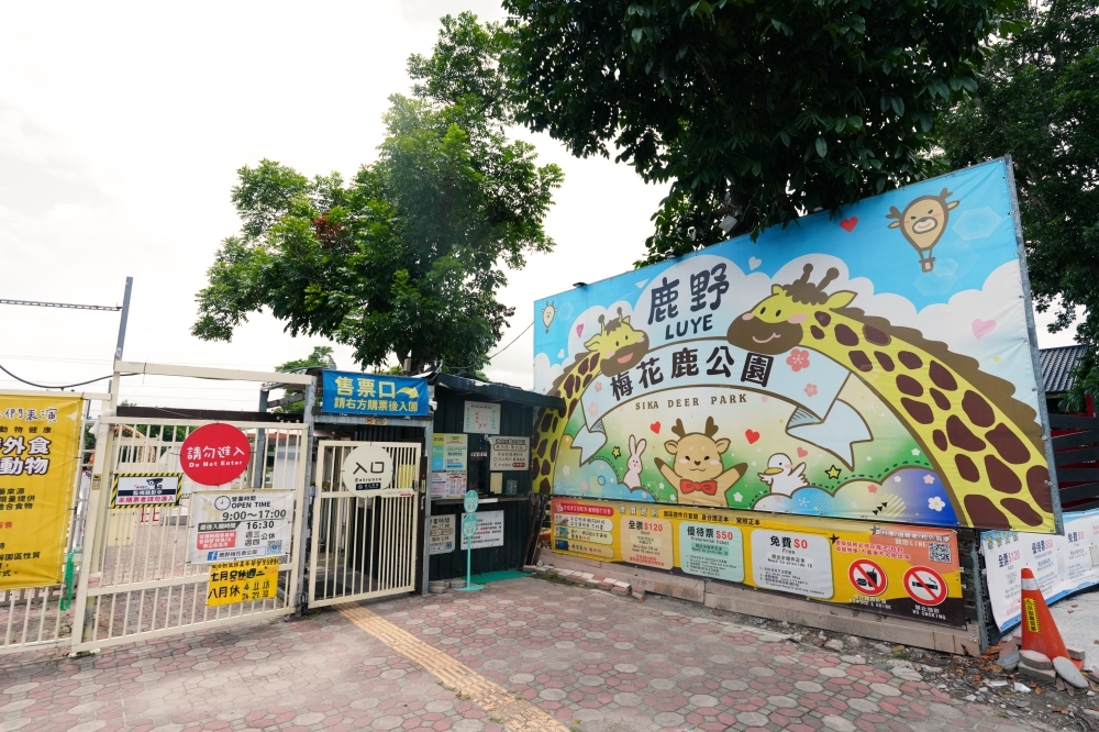 【鹿野梅花鹿公園】 台東鹿野親子景點！近距離餵鹿、小動物互動與門票票價全攻略 @捲捲頭 ♡ 品味生活