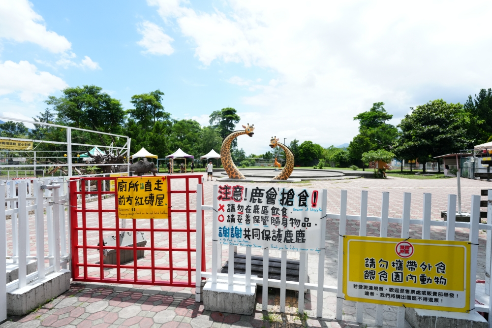 【鹿野梅花鹿公園】 台東鹿野親子景點！近距離餵鹿、小動物互動與門票票價全攻略 @捲捲頭 ♡ 品味生活