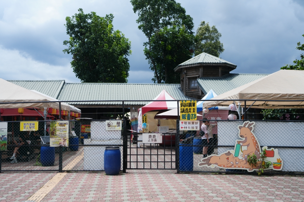 【鹿野梅花鹿公園】 台東鹿野親子景點！近距離餵鹿、小動物互動與門票票價全攻略 @捲捲頭 ♡ 品味生活