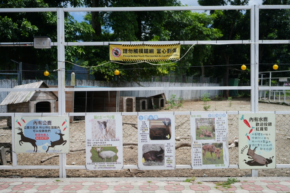 【鹿野梅花鹿公園】 台東鹿野親子景點！近距離餵鹿、小動物互動與門票票價全攻略 @捲捲頭 ♡ 品味生活