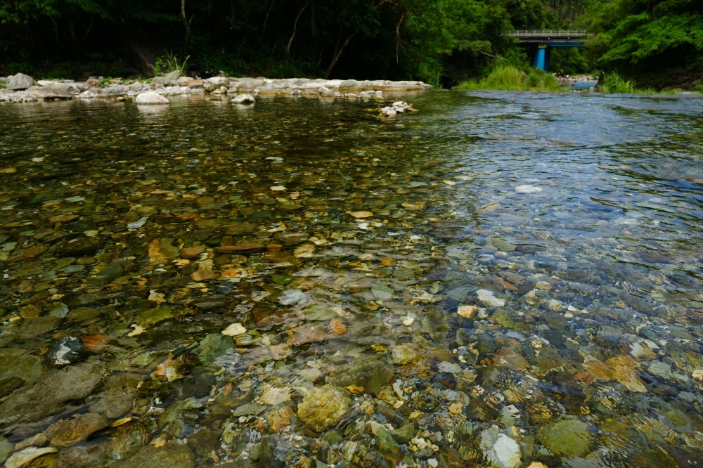 【白鮑溪親水園區】2026花蓮暑假消暑首選!免費藍寶石野溪玩水攻略 @捲捲頭 ♡ 品味生活 【白鮑溪親水園區】2026花蓮暑假消暑首選!免費藍寶石野溪玩水攻略 @捲捲頭 ♡ 品味生活