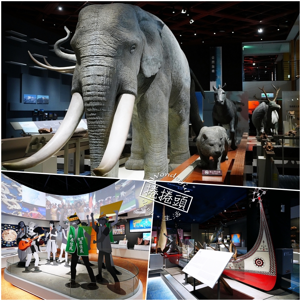 【國立臺灣史前文化博物館】 台灣自然史廳＋南島廳新亮點！1:1猛瑪象、門票交通與親子攻略 @捲捲頭 ♡ 品味生活
