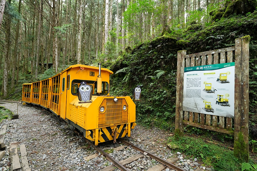 宜蘭太平山景點一日遊｜蹦蹦車、見晴懷古步道、鳩之澤溫泉攻略 @捲捲頭 ♡ 品味生活