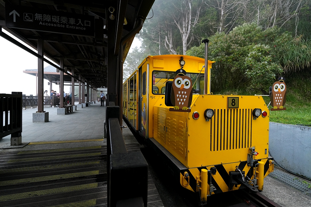 宜蘭太平山景點一日遊｜蹦蹦車、見晴懷古步道、鳩之澤溫泉攻略 @捲捲頭 ♡ 品味生活