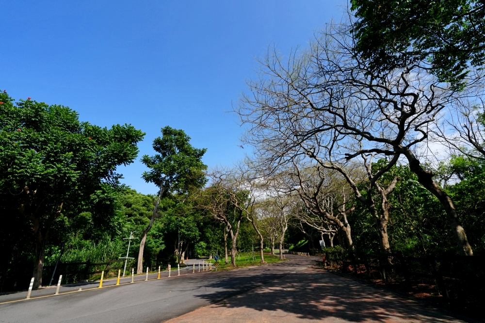 台中后豐鐵馬道一日遊：花梁鋼橋、九號隧道、租車交通全攻略！ @捲捲頭 ♡ 品味生活