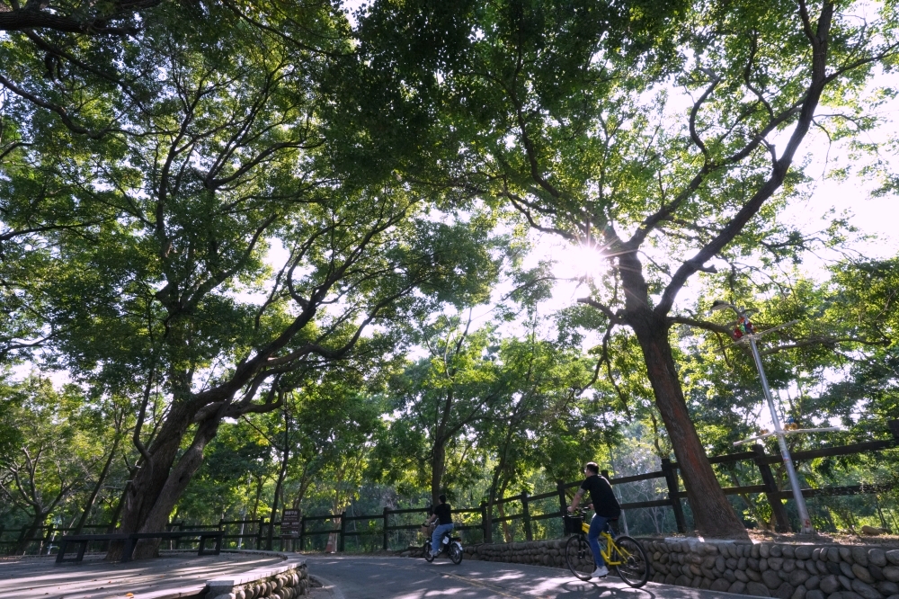 台中后豐鐵馬道一日遊:花梁鋼橋、九號隧道、租車交通全攻略! @捲捲頭 ♡ 品味生活 台中后豐鐵馬道一日遊:花梁鋼橋、九號隧道、租車交通全攻略! @捲捲頭 ♡ 品味生活