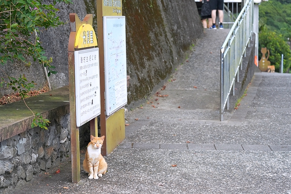 【猴硐貓村】 走進被貓咪統治的慢步調山城！最新展館、停車資訊與私房咖啡店 @捲捲頭 ♡ 品味生活